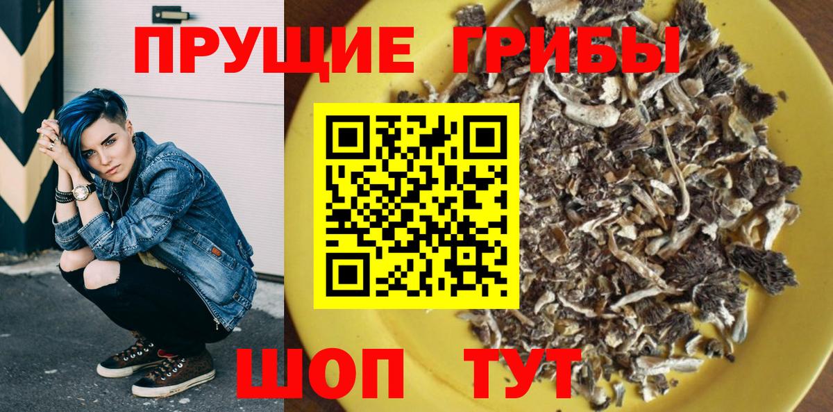 Псилоцибиновые грибы Cubensis Саратов